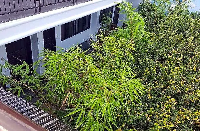 Residencia Lourdes 2* Cebu